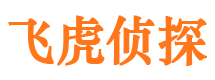 秦都市私家侦探